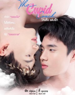  Тренер Купидон 