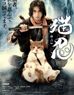  Ниндзя и кот 