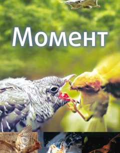  Момент 